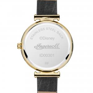 Ingersoll1892 ID00301 The Disney Ingersoll Union Aufnahme von Hi